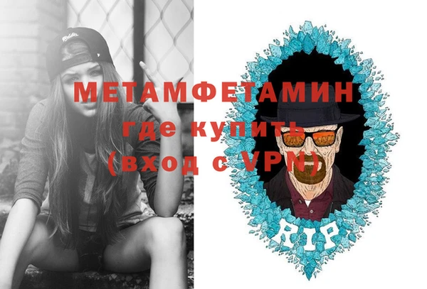 сатива Кулебаки