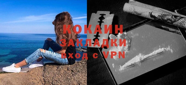 сатива Кулебаки