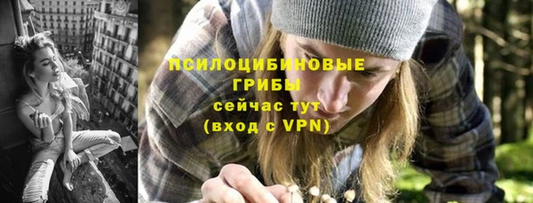 трава Куйбышев