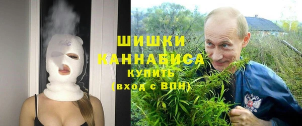 стаф Кукмор
