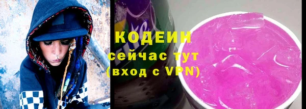 сатива Кулебаки